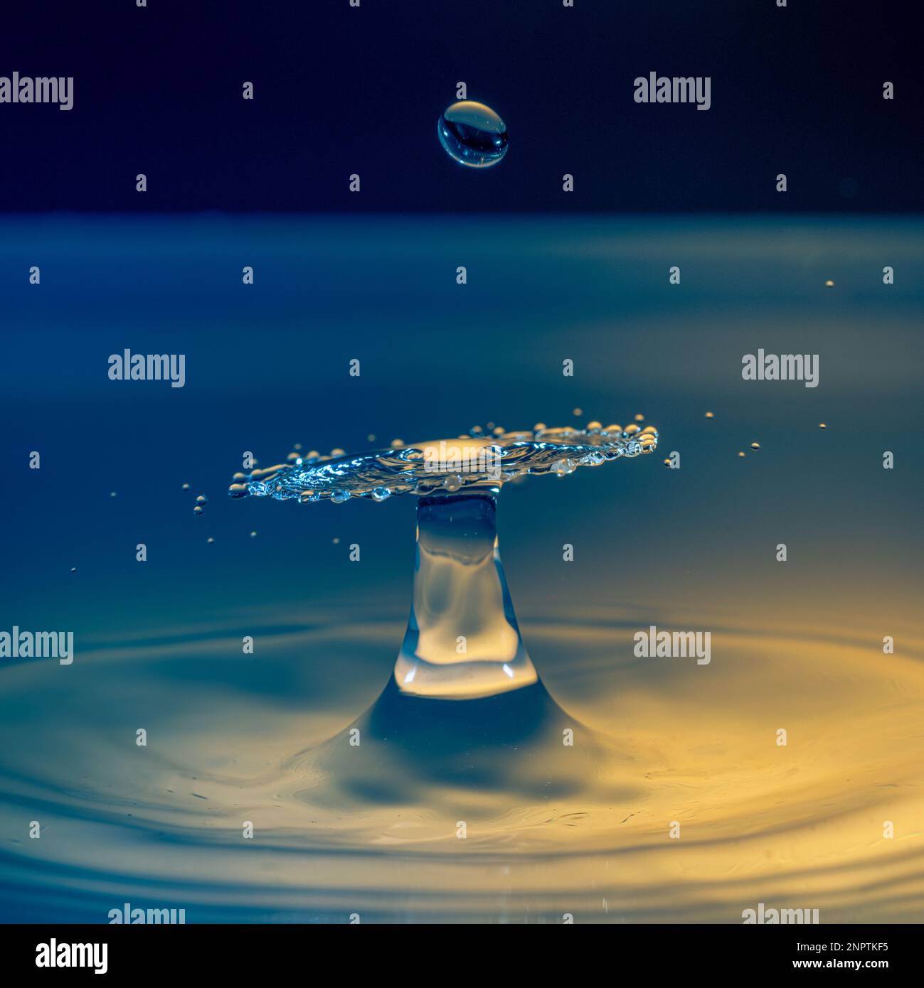 Macro photography water drops photographed with pluto trigger stock