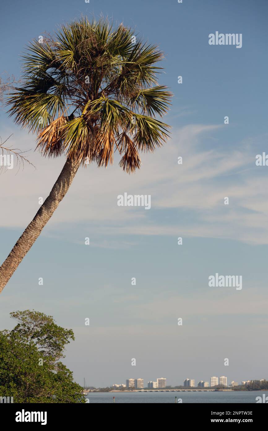 Indian River Park in Jensen Beach, Florida Stock Photo Alamy