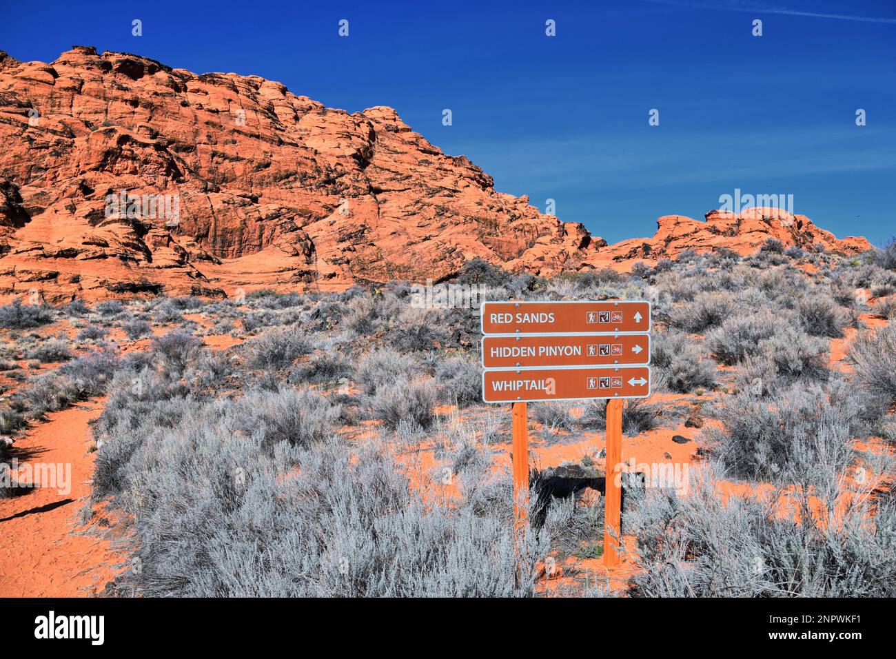Snow Canyon State Park Red Sands hiking trail Cliffs National ...