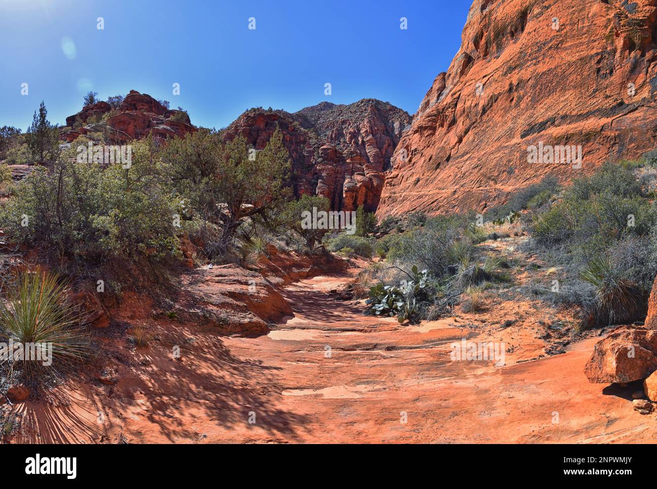 Snow Canyon State Park Red Sands hiking trail Cliffs National ...