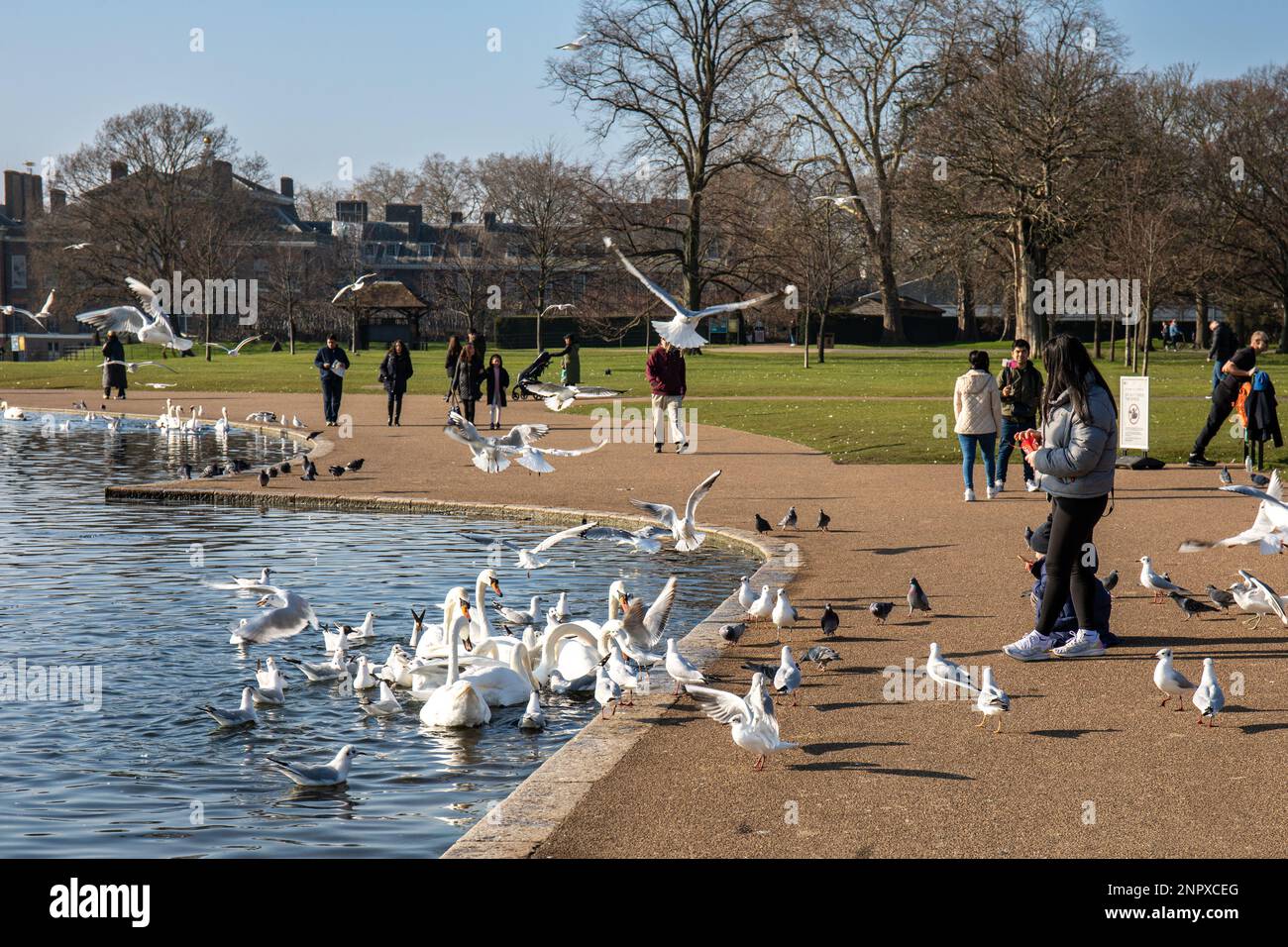 People feeding birds at the Round Pond in Kensington Gardens, London