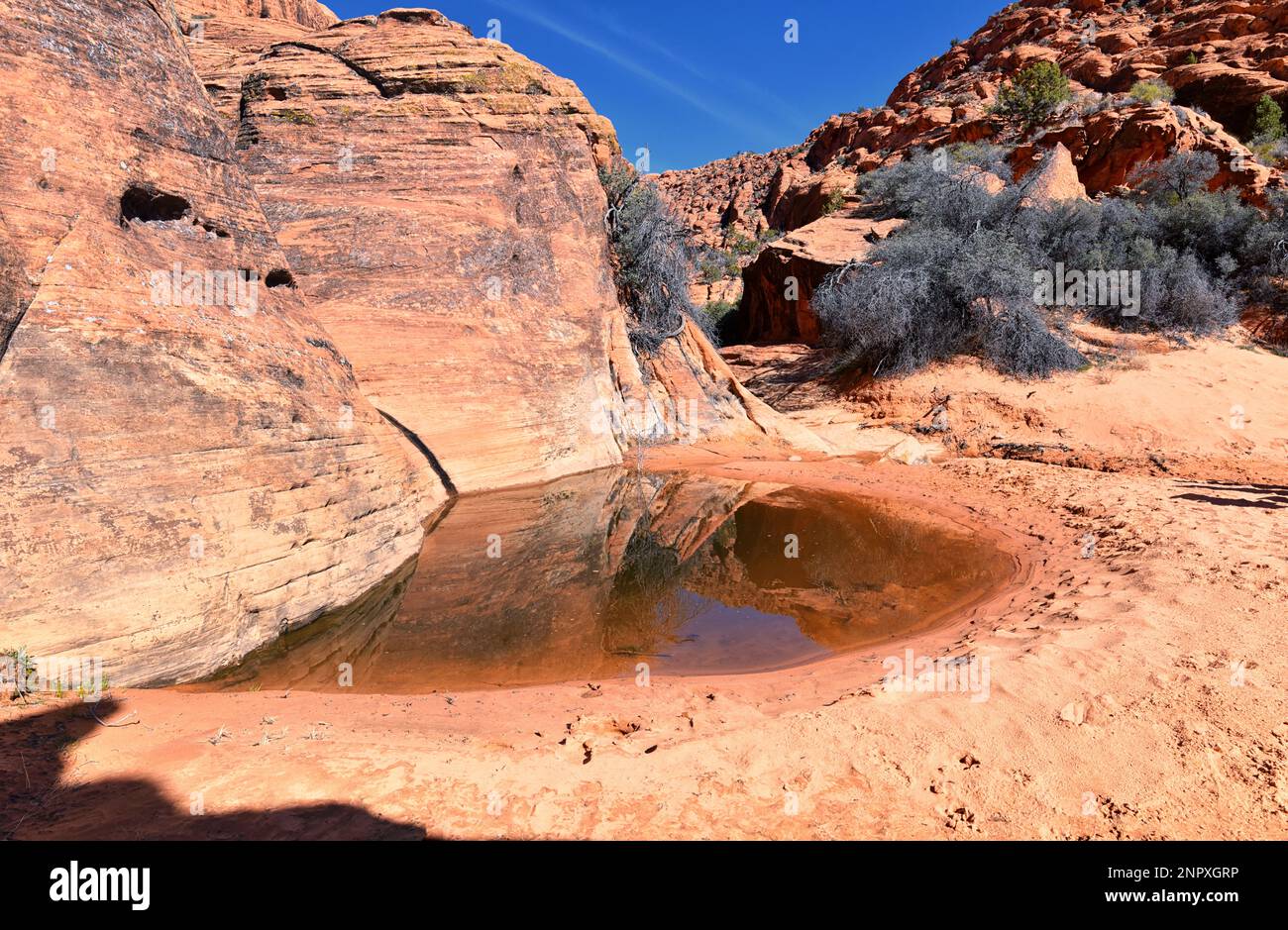 Snow Canyon State Park Red Sands views from hiking trail Cliffs ...