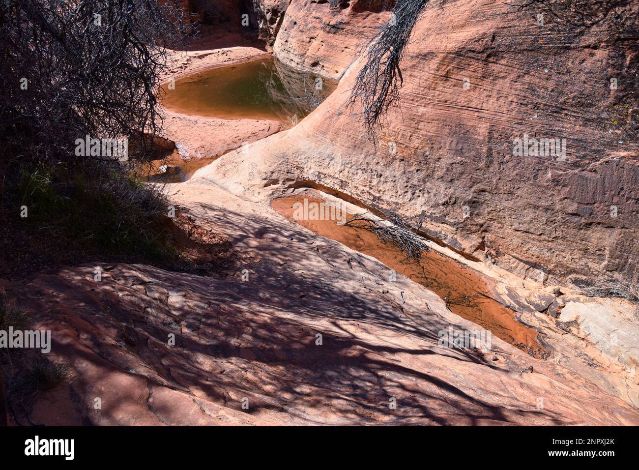 Snow Canyon State Park Red Sands views from hiking trail Cliffs ...