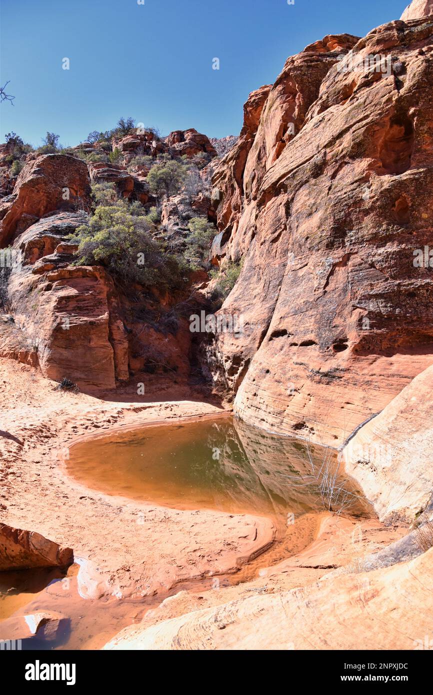 Snow Canyon State Park Red Sands views from hiking trail Cliffs ...