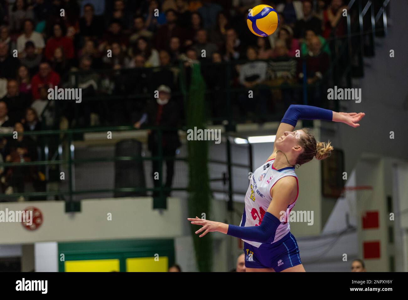 Ekaterina Antropova (Savino Del Bene Scandicci Stock Photo Alamy