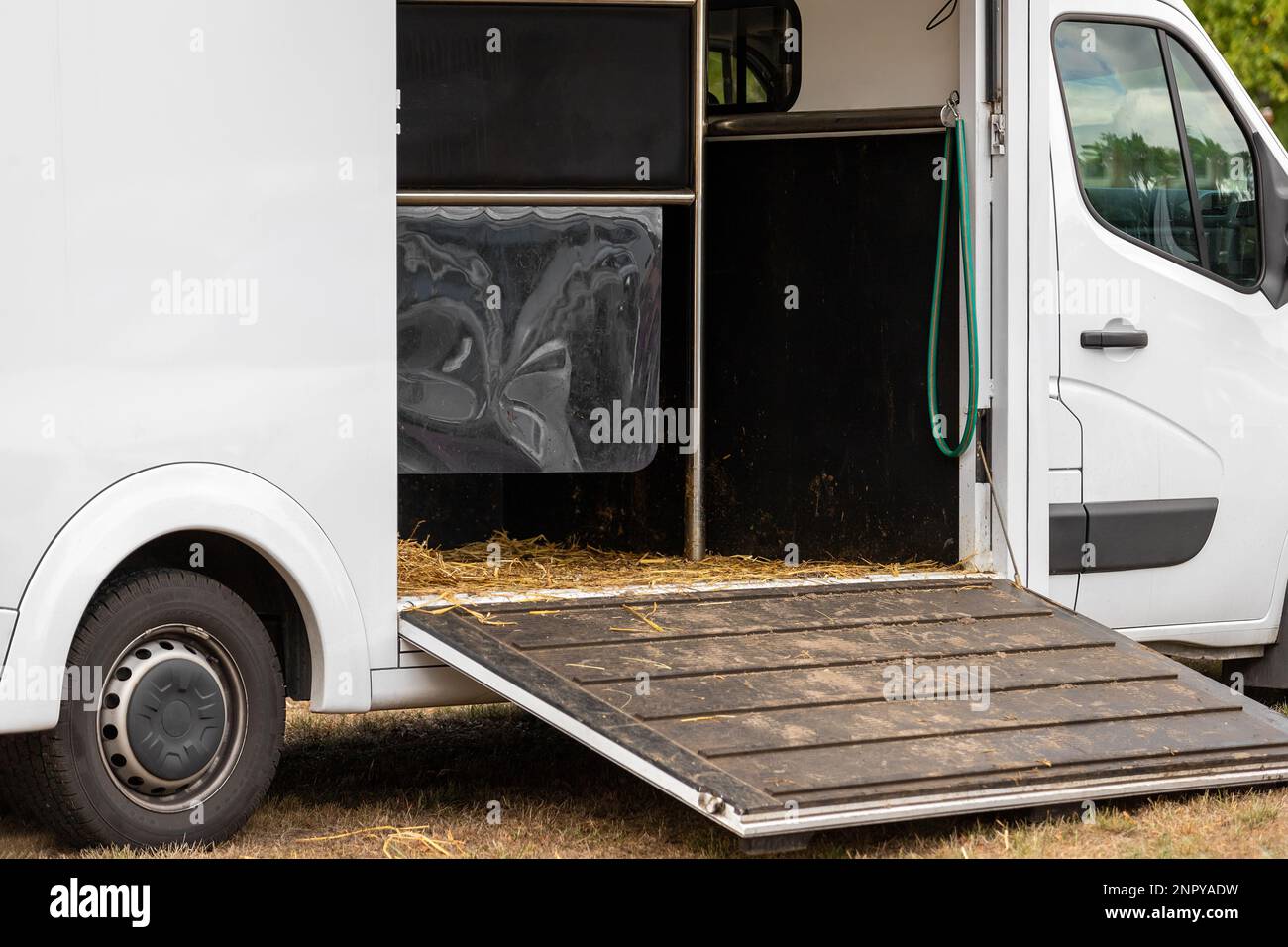 Horse box cargo trailer transport with open tailgate with hay and