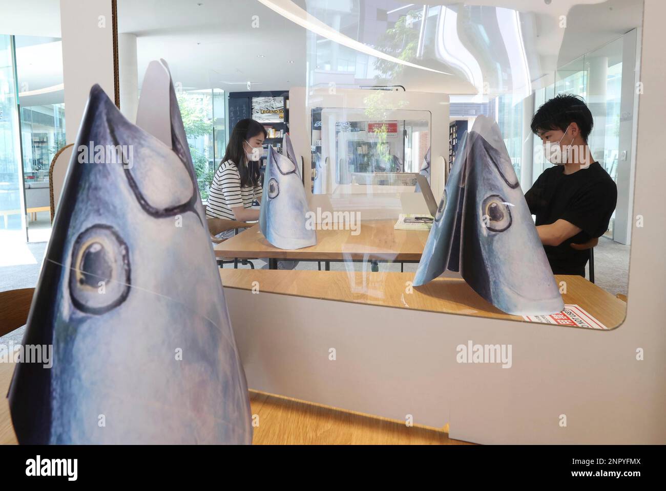 Bluefin tuna-shaped mask covers are laid on a desk to maintain a social distancing at Kinki in Higashi Osaka, Osaka Prefecture June 12, 2020. The university has led the world's
