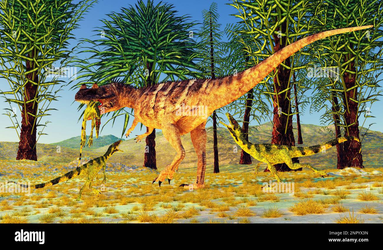 A carnivorous theropod Ceratosaurus dinosaur kills a smaller Juravenator during the Jurassic Period. Stock Photo