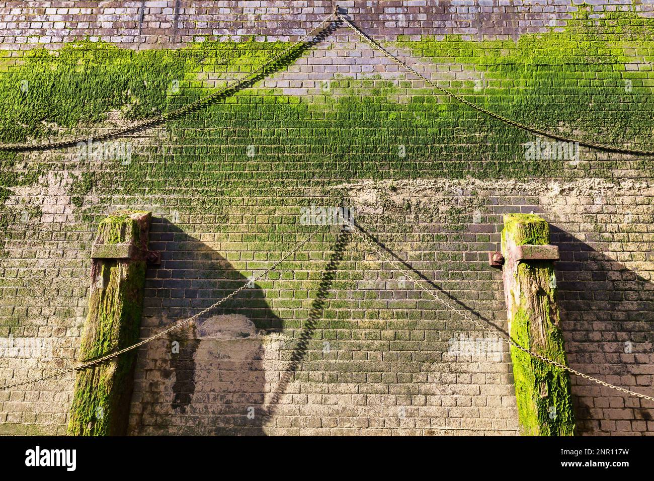 picture of a quay wall made of stones with algae growth Stock Photo Alamy