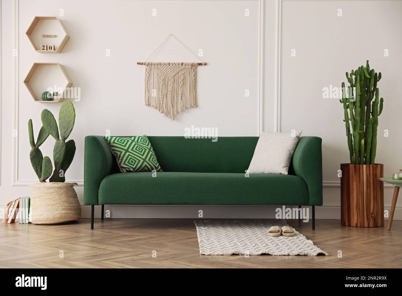 Modern living room featuring potted cacti in minimalist containers