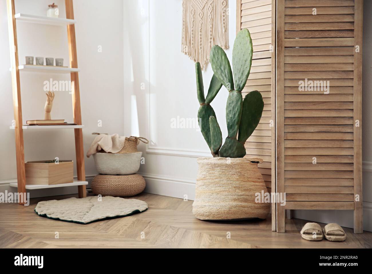 Stylish room interior with beautiful potted cactus Stock Photo - Alamy
