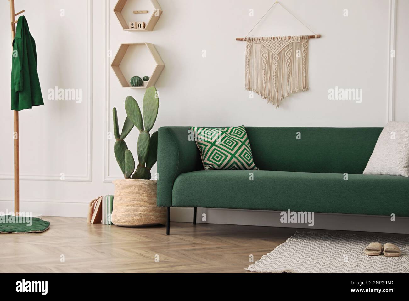 Stylish living room interior with beautiful potted cactus and modern ...