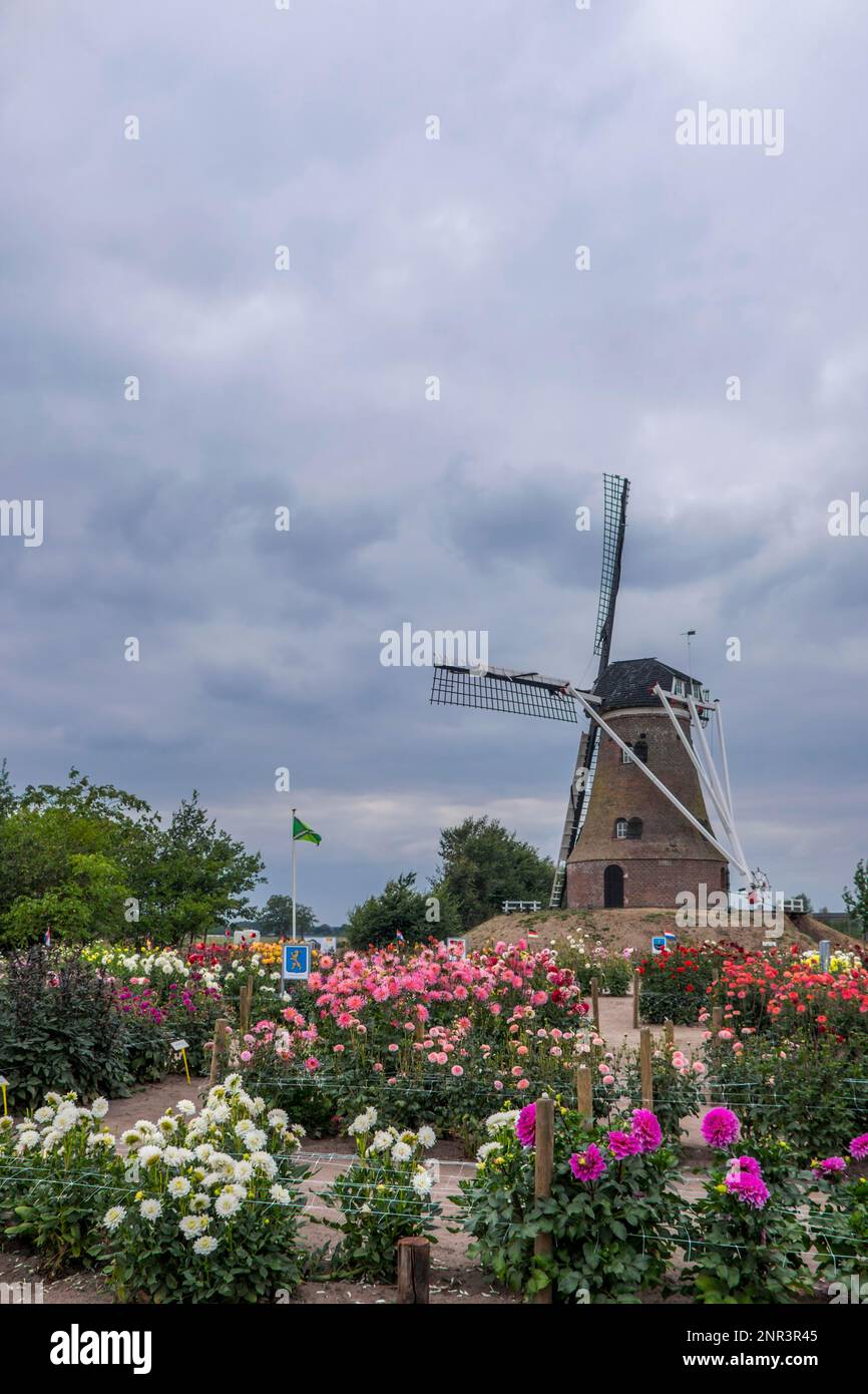 Rekken hi-res stock photography and images - Alamy