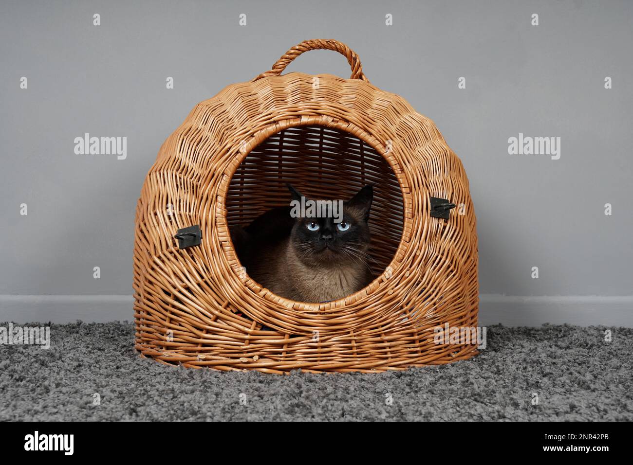 Wicker cat clearance basket carrier