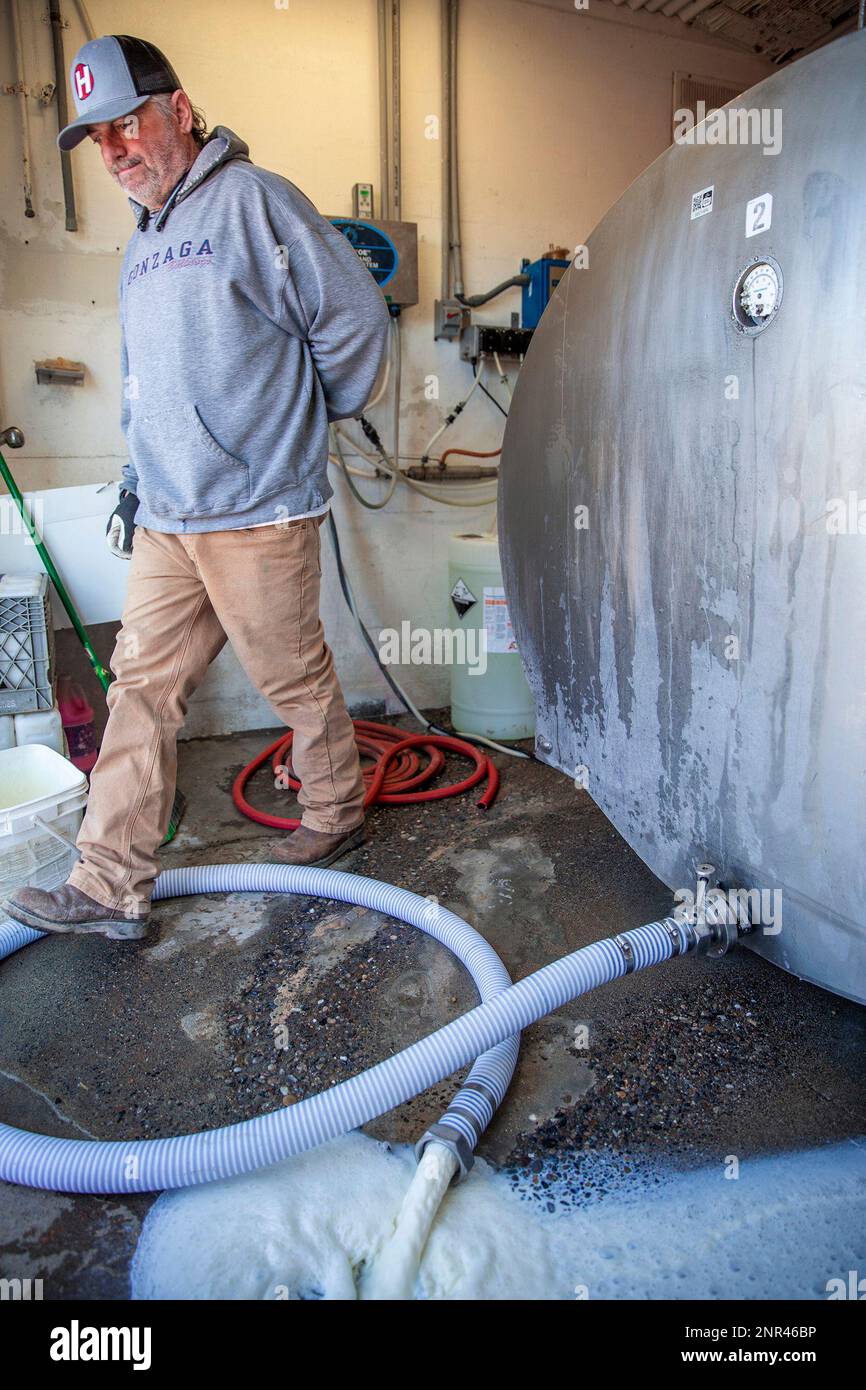 Owner Richard Azevedo steps over the hose of a milk bulk tank as the