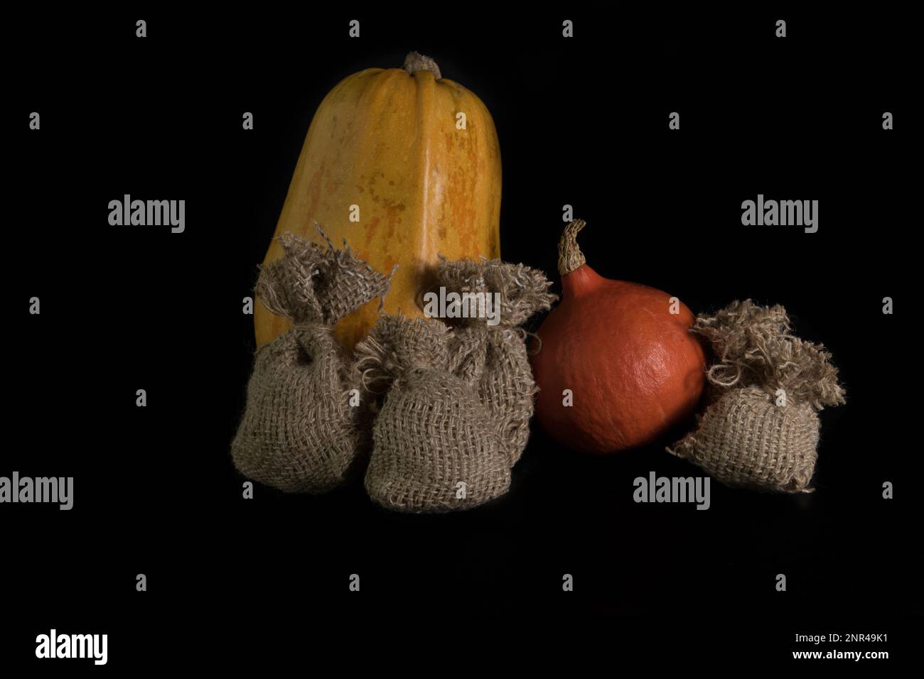Pumpkins, and a jute bag on a black background. In studio Stock Photo