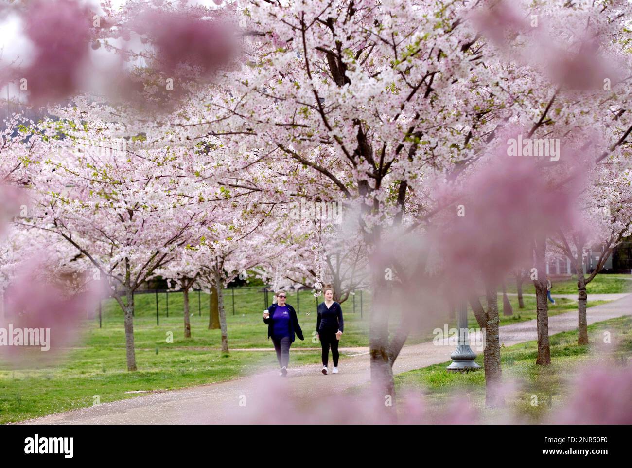 In this Tuesday, March 24, 2020 photo, Kelly Buccola, left, and her daughter, Julia Buccola walk
