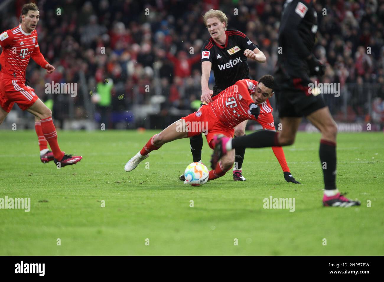 MUNICH, Germany. , . 42 Jamal Musiala Of FcBayern Vs 2 Morten Thorsby ...