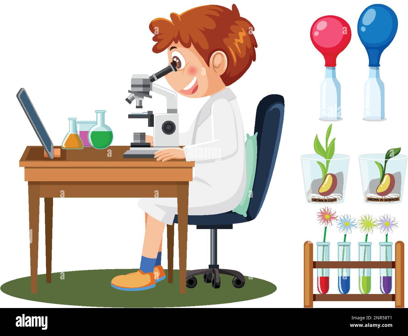 Scientist and student doing chemistry experiment illustration Stock ...