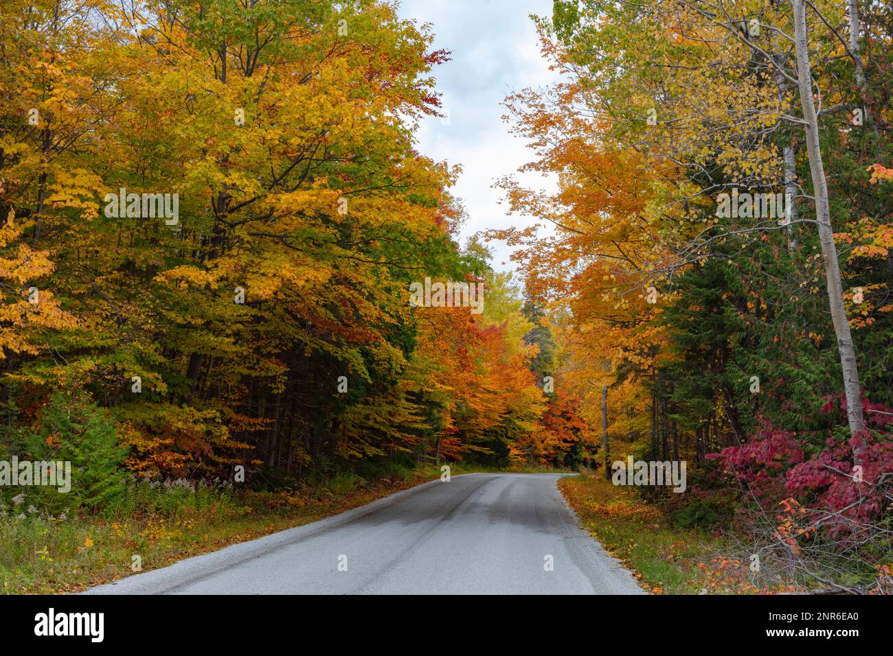 A lazy Sunday drive shows mid-October fall colours peaking on rural Manitoulin Island. Stock Photo