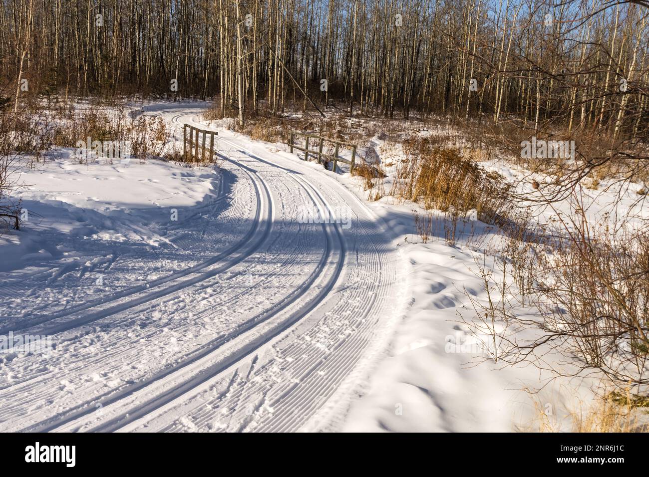 Neon Lake Ski trail bridge at Cooking LakeBlackfoot the place of