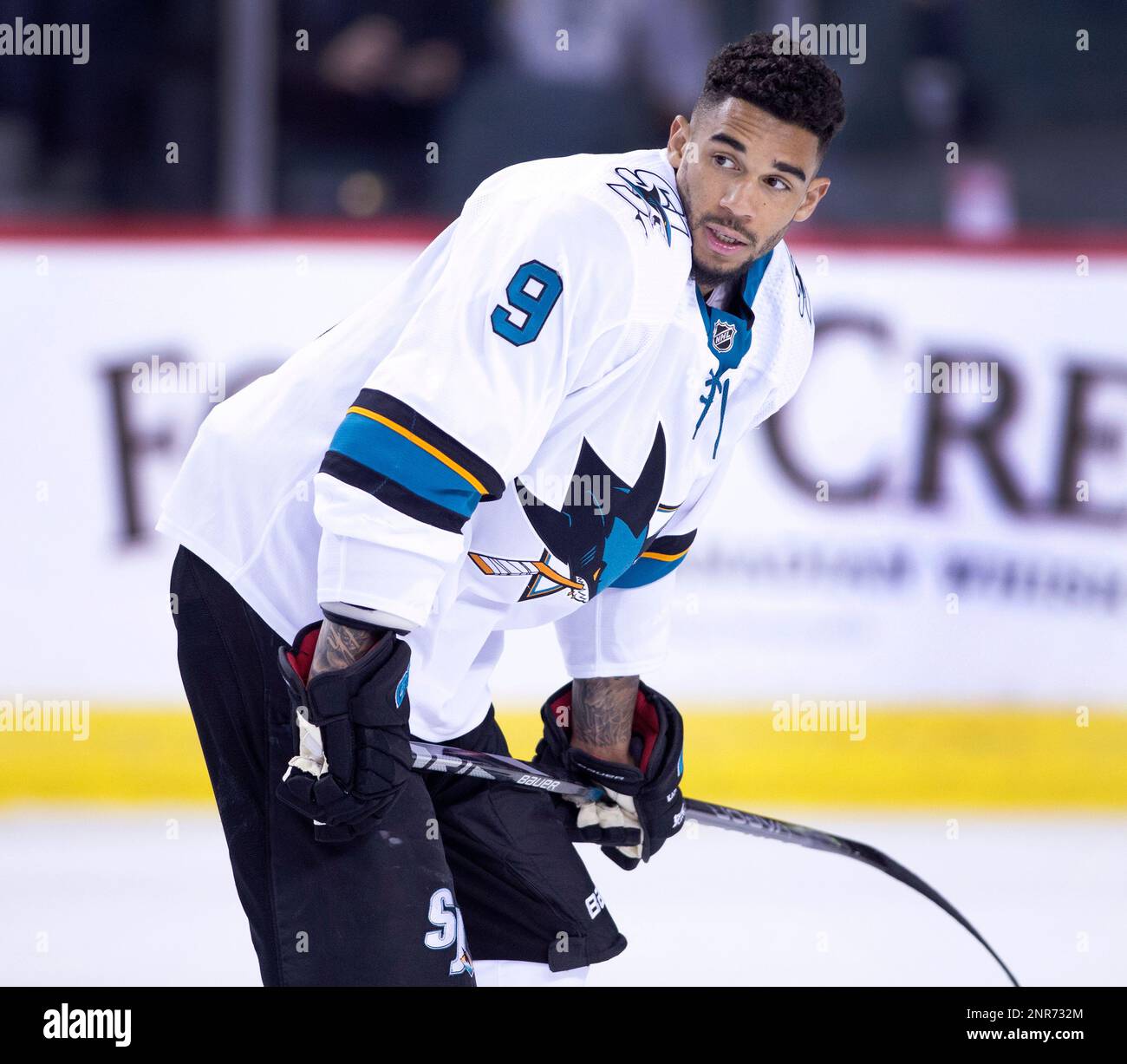 Evander kane hi-res stock photography and images - Alamy