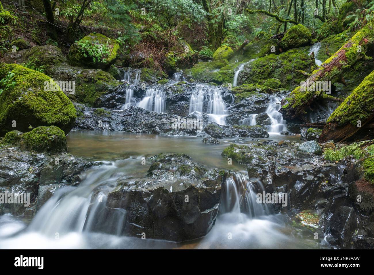 Cascade waterfalls at Cataract Falls. Mount Tamalpais State Park, Marin County, California, USA. Stock Photo