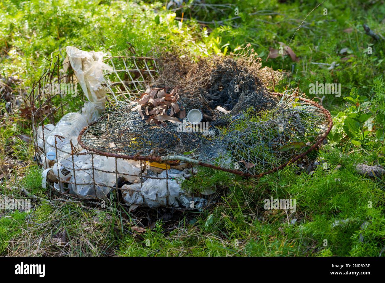 Disused crab pot filled with rubbish sitting on the ground amongst invasive weeds. Coochiemudlo Island, Queensland, Australia Stock Photo