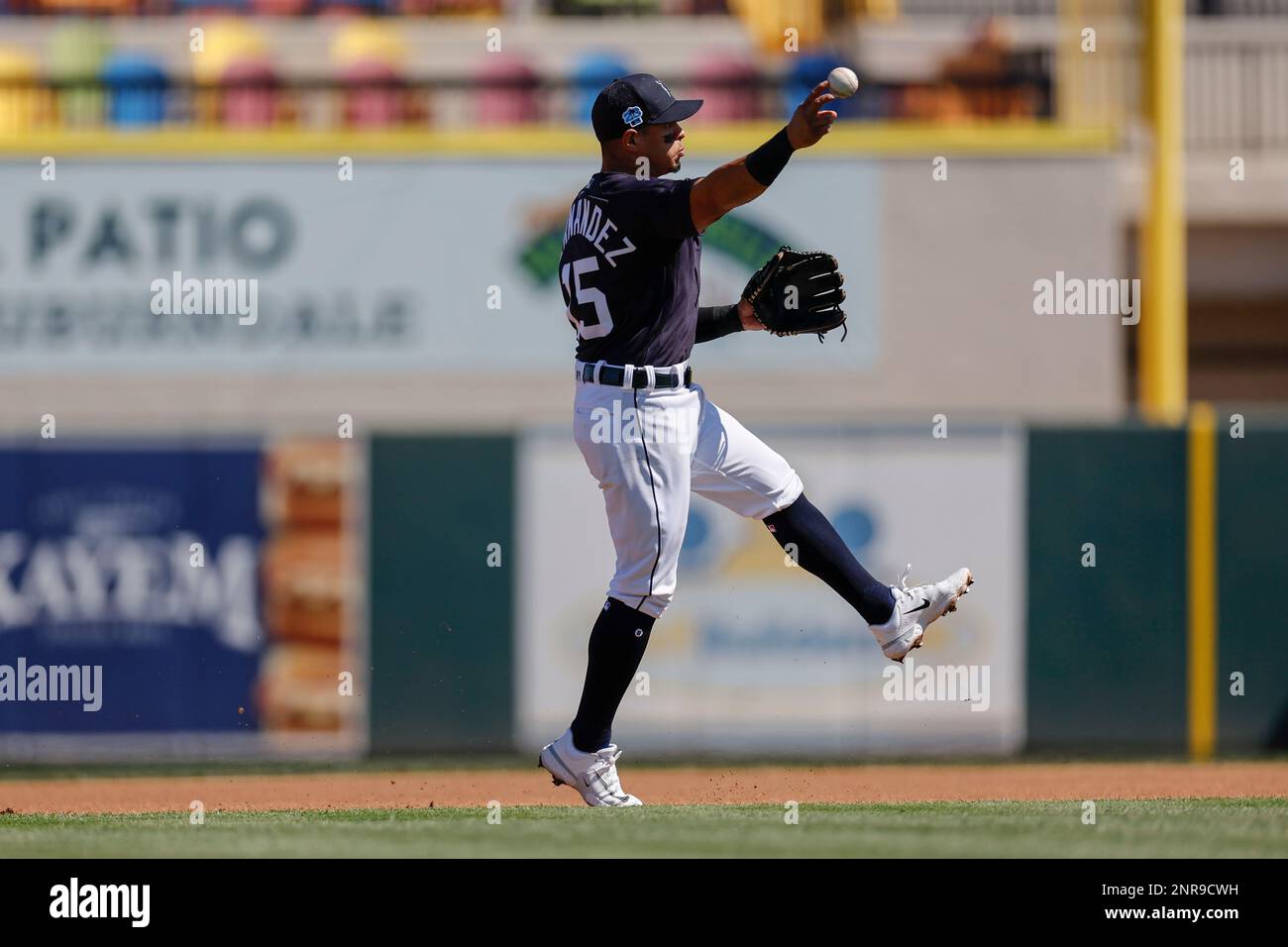 Lakeland FL USA; Detroit Tigers shortstop Cesar Hernandez fields and