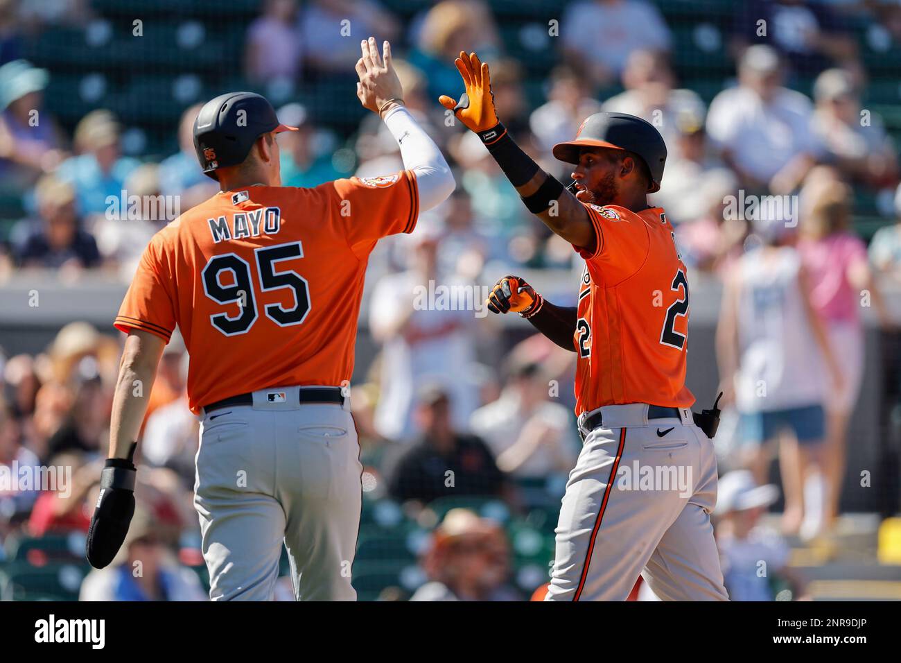 Lakeland FL USA; Baltimore Orioles infielder Colby Mayo (95) congratulates infielder Lewin Diaz after he scored during an MLB spring training game aga Stock Photo