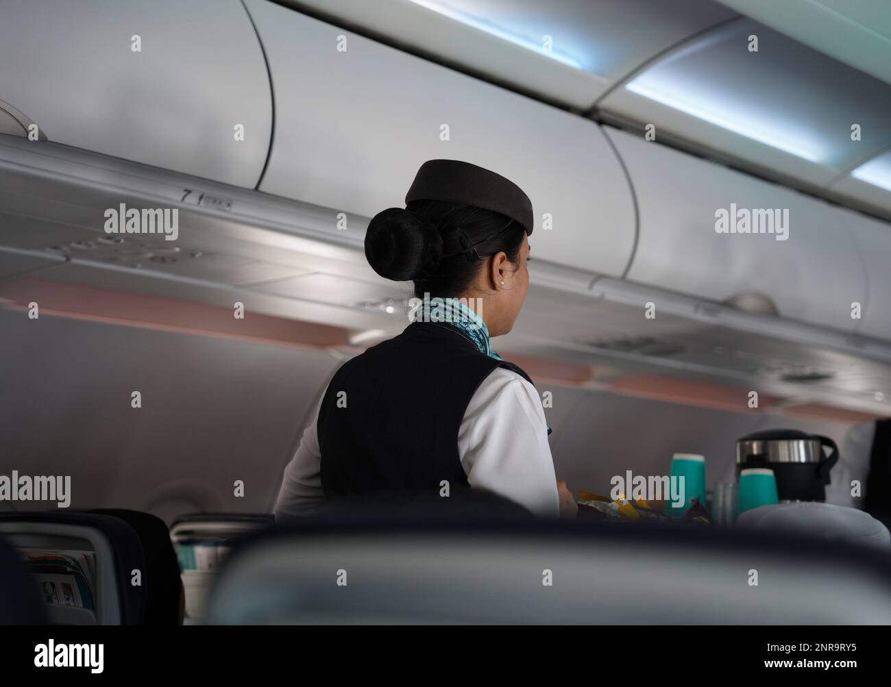 Flynass flight attendant or crew, a woman working on the airplane serving food and drinks traditionally known as an air hostess, stewardess, steward,o Stock Photo