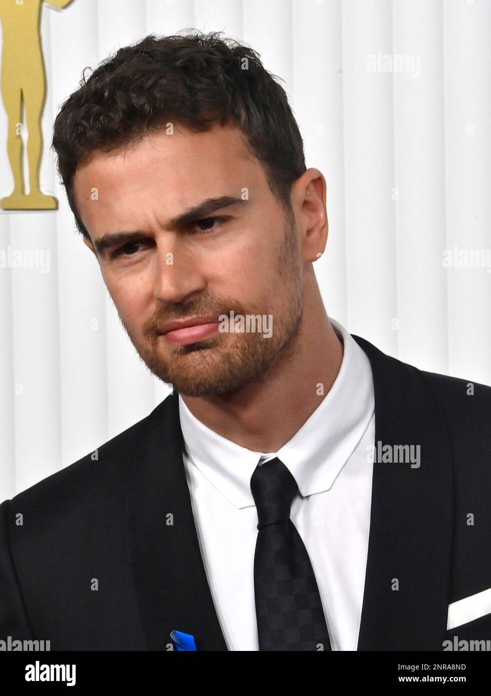 Los Angeles, United States. 26th Feb, 2023. Theo James attends the 29th