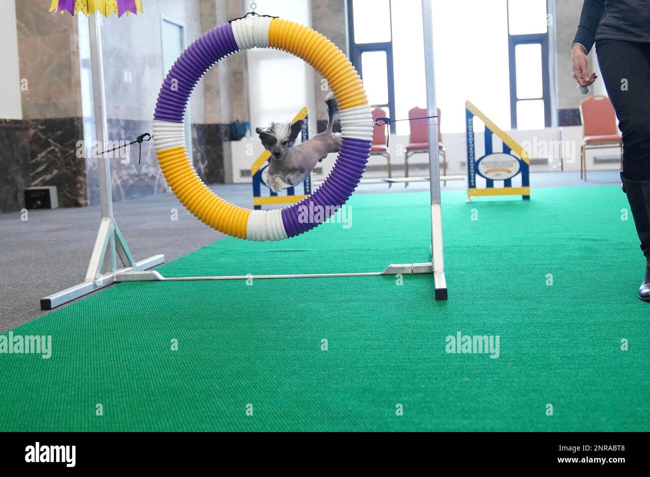 Photo by John Nacion/STAR MAX/IPx 2020 2/4/20 Auditions for the