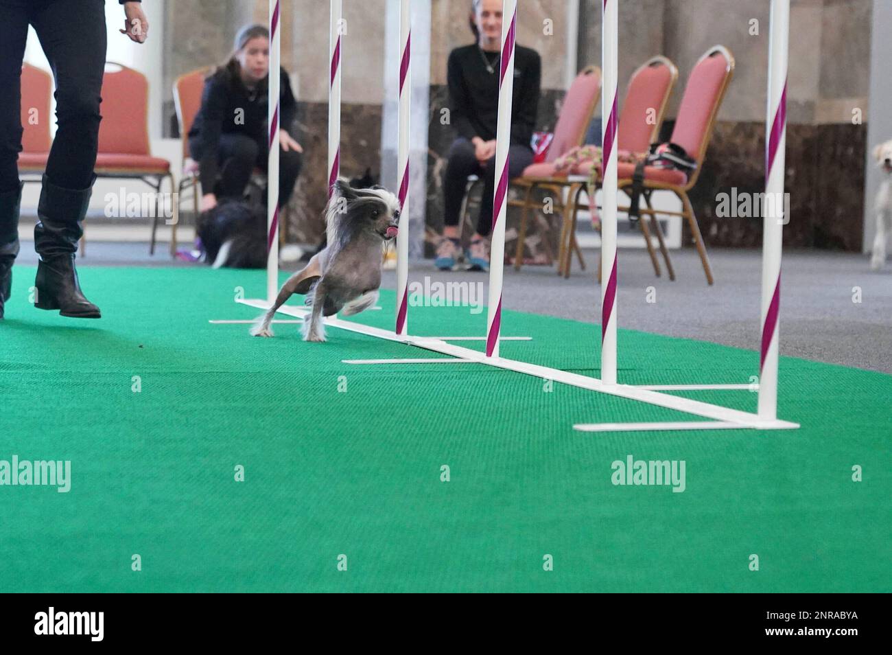 Photo by John Nacion/STAR MAX/IPx 2020 2/4/20 Auditions for the