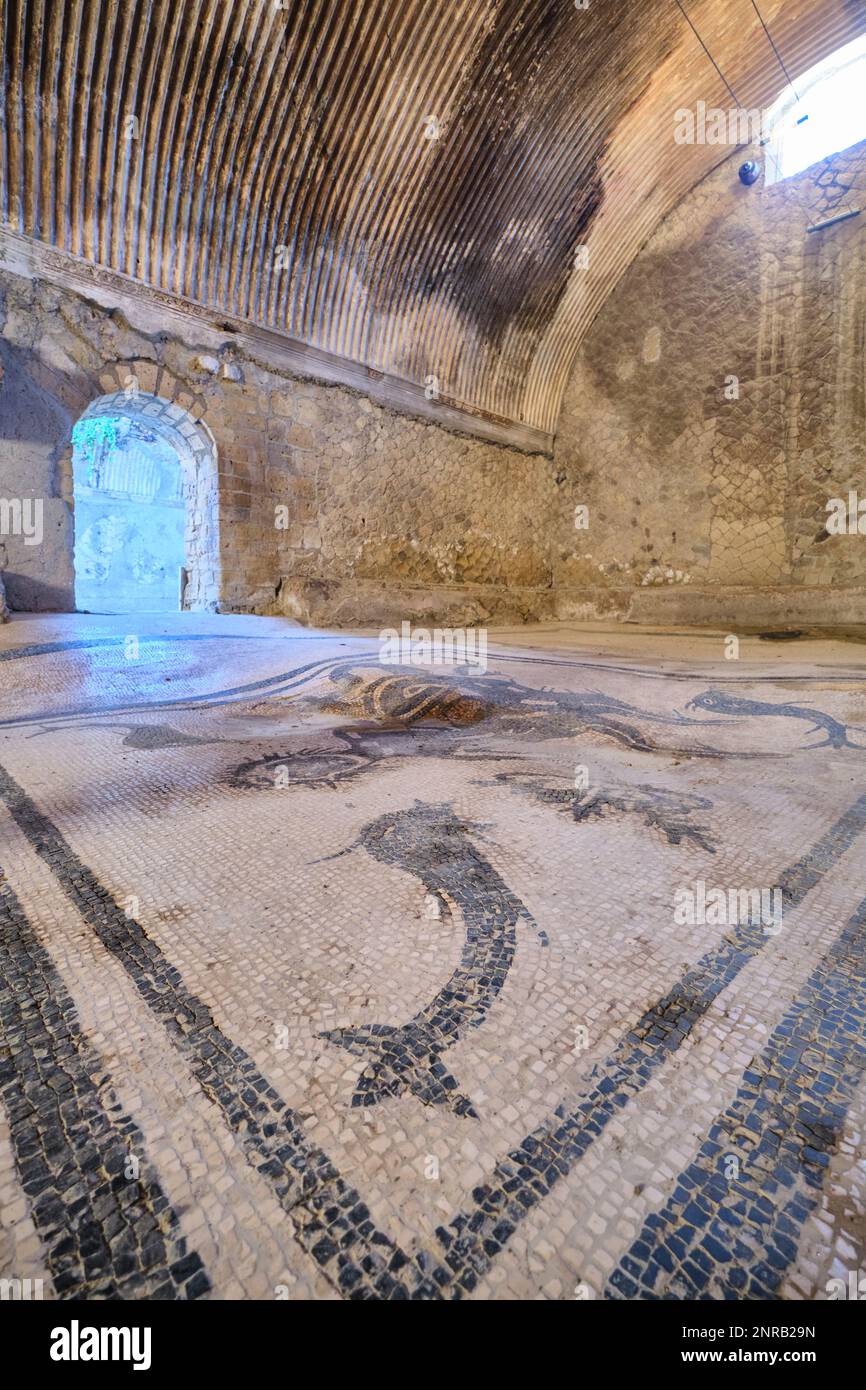 View of the detailed tile mosaic floor design featuring fish, sea creatures. At the Terme Maschili baths of the Roman ruin archeological town, city si Stock Photo
