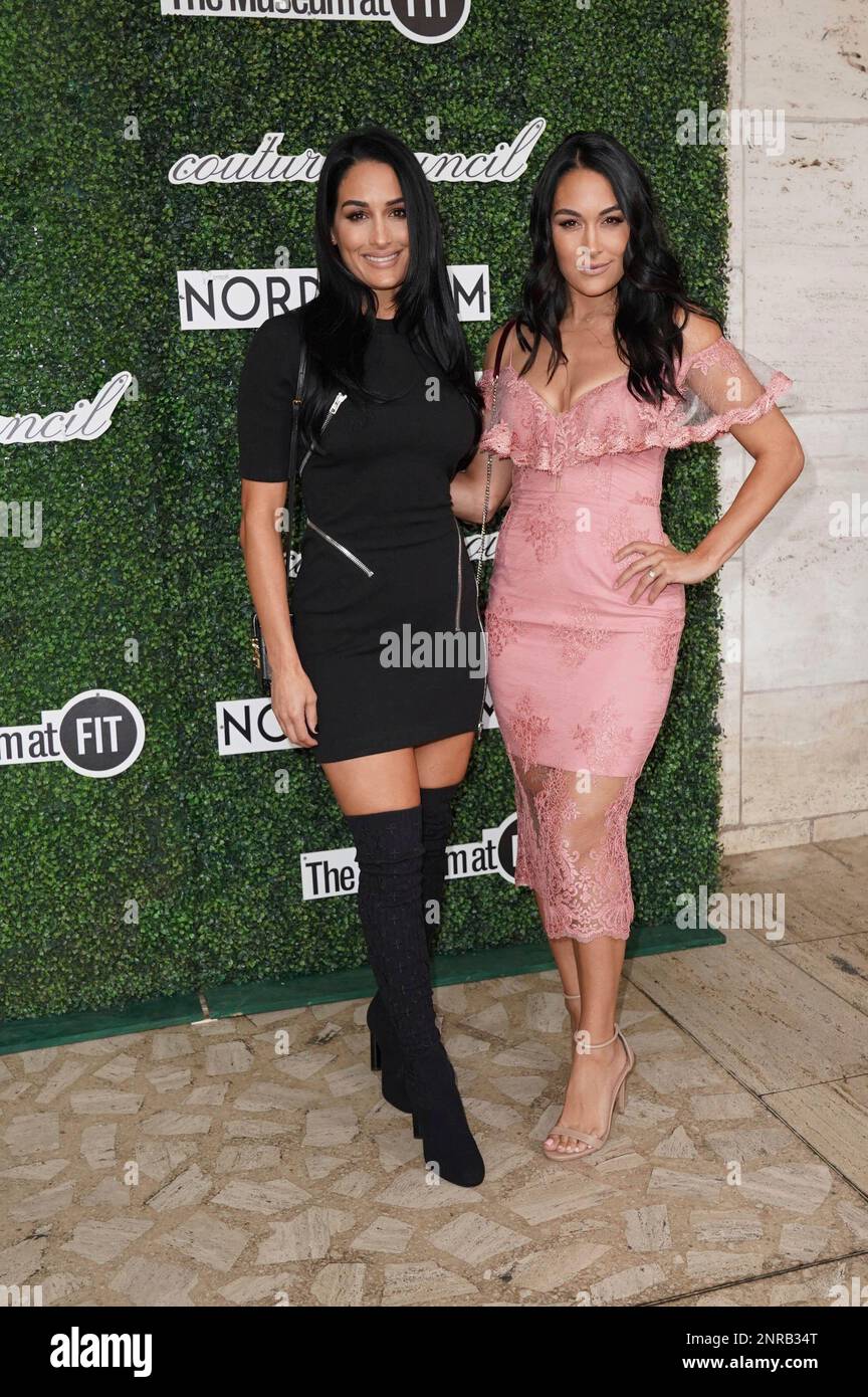 January 29th 2020 - Brie Bella and Nikki Bella have announced that they are both pregnant. The