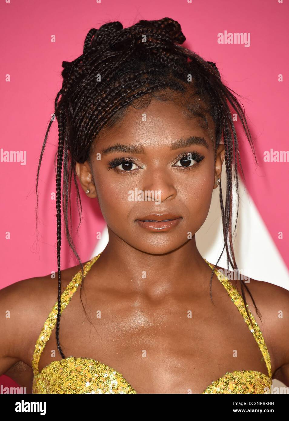 Dominique Thorne arriving to the 54th NAACP Image Awards held at the ...