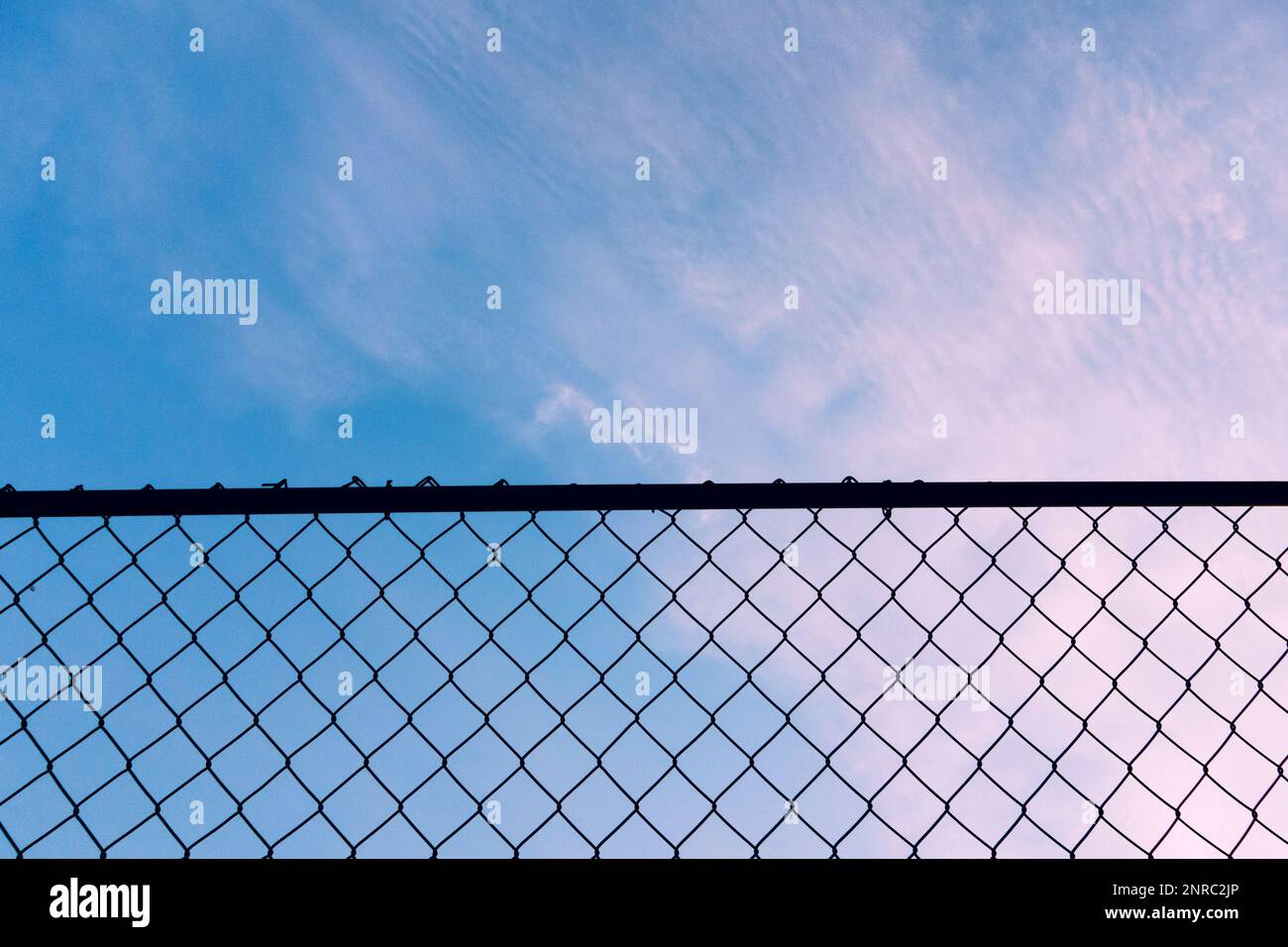 Chicken wire fence Stock Photo Alamy