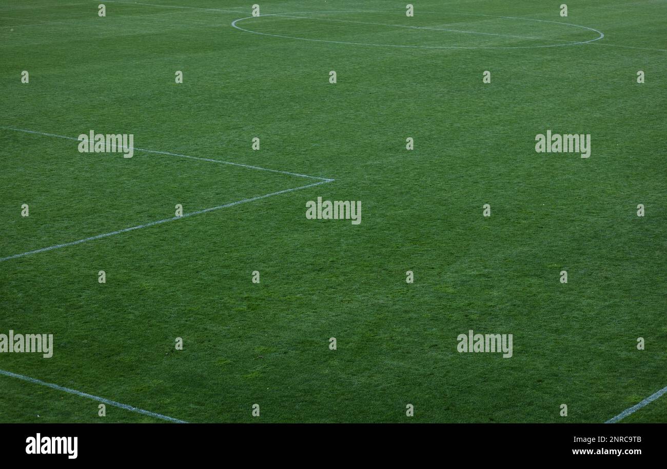 soccer field green. football stadium Stock Photo Alamy