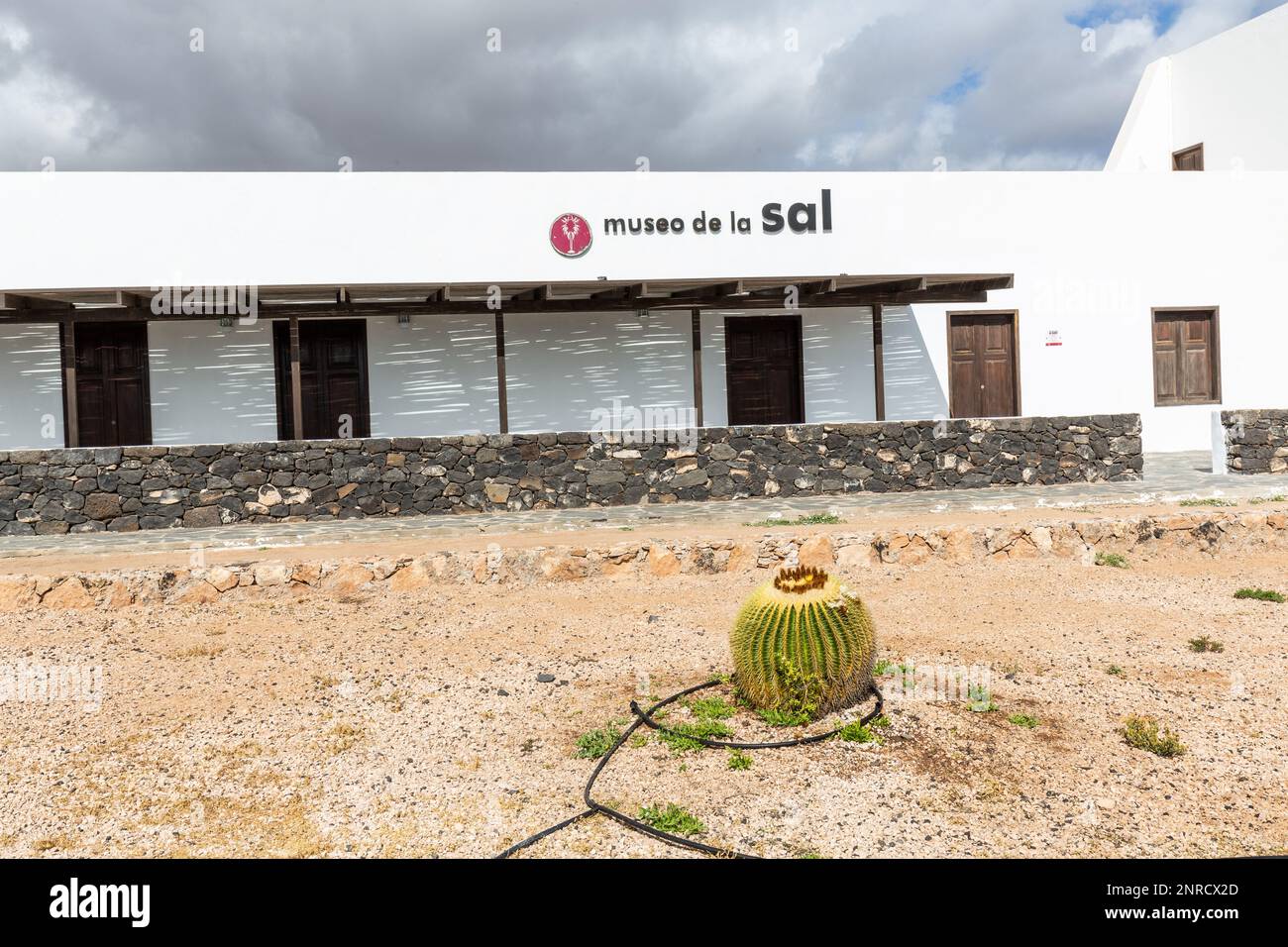 Solitary cactus in a courtyard of the salt museum in Fuerteventura. Stock Photo