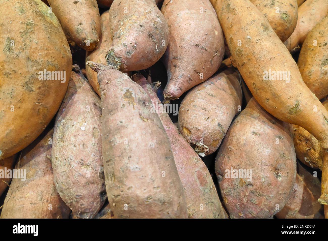 Closeup on a stack of Sweet Potatoes for sale on a market stall Stock