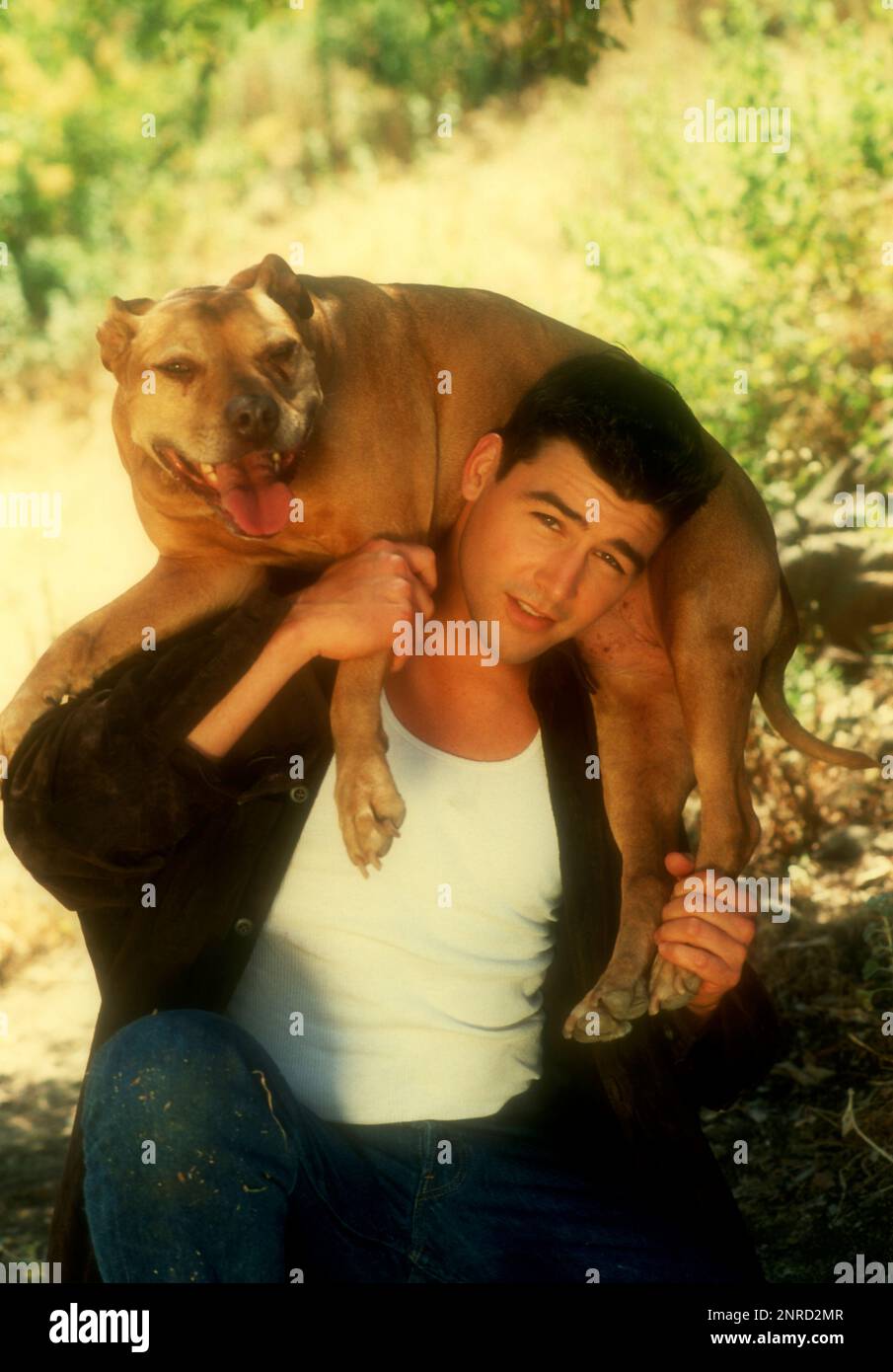 Los Angeles, California, USA 1st July 1996 (EXCLUSIVE) Actor Kyle Candler poses with his dog at an exclusive photo shoot on July 1, 1996 in Los Angeles, California, USA. Photo by Barry King/Alamy Stock Photo Stock Photo