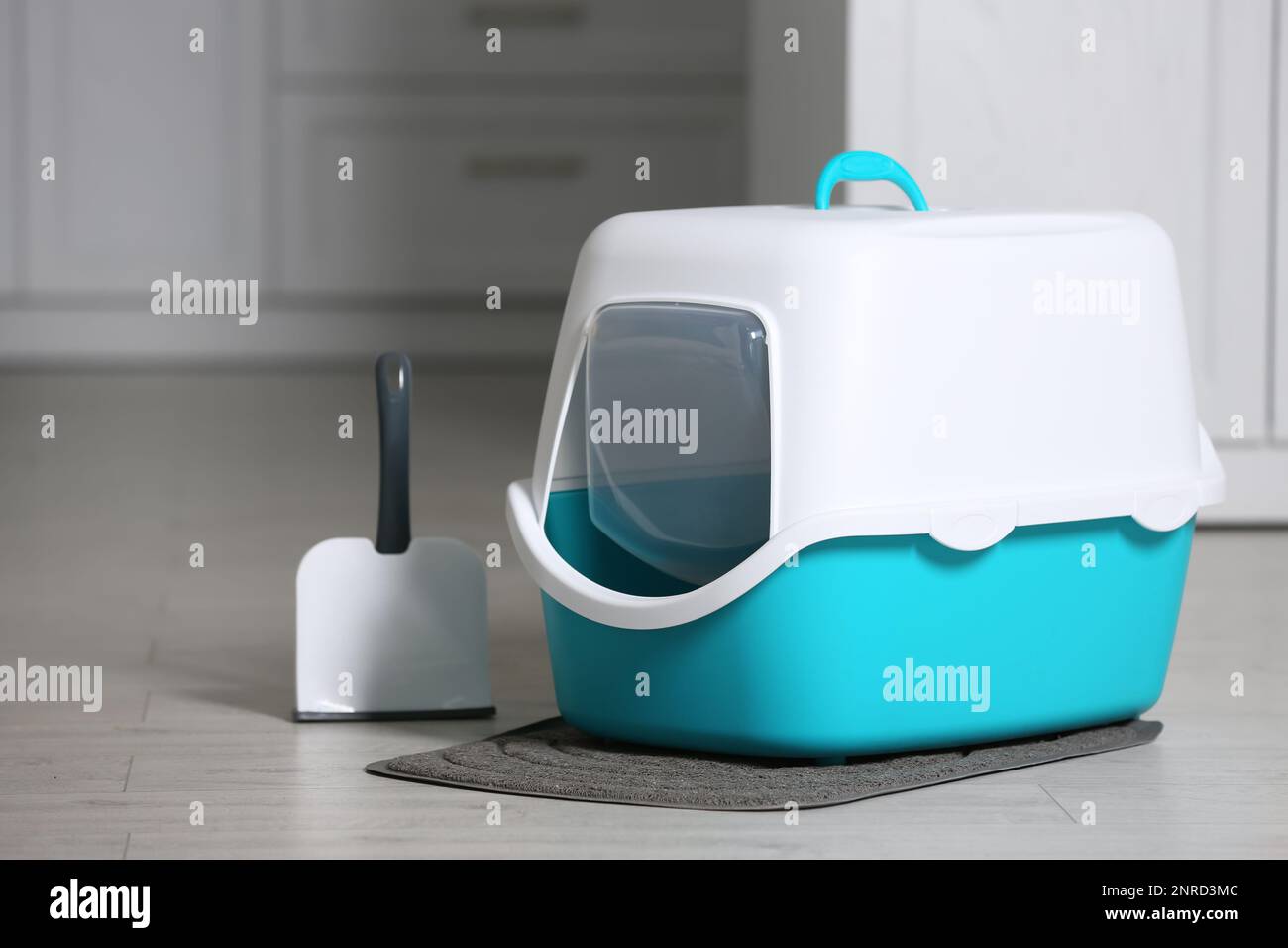 Cat litter box and scoop on floor in room Stock Photo Alamy