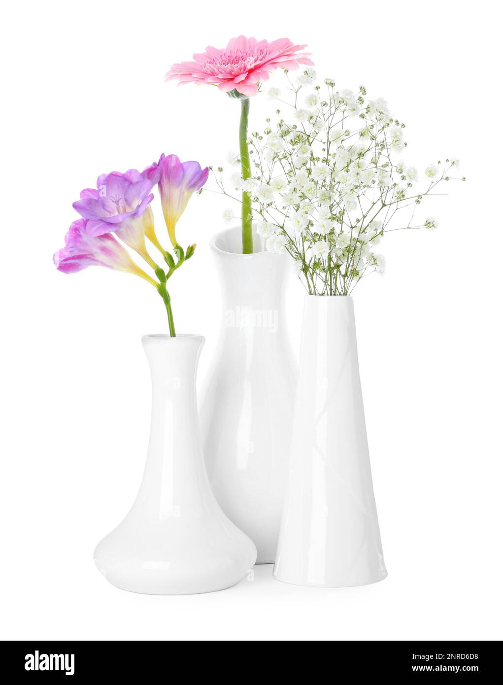 Beautiful fresh flowers in vases on white background Stock Photo - Alamy