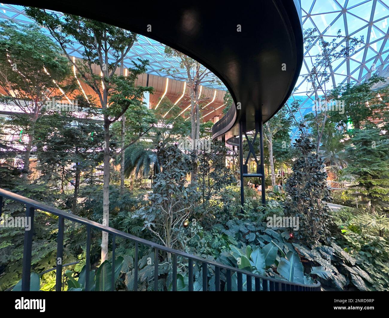 Qatar airport garden hi-res stock photography and images - Alamy