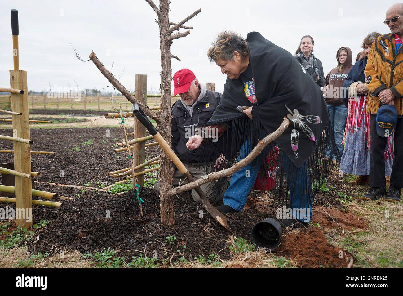 Caddo Nation elder Marilyn Threlkeld, right, adds a bit of tobacco around  the base of a muscadine grape vine being planted at the Snake Woman garden  at Caddo Mounds State Historic Site