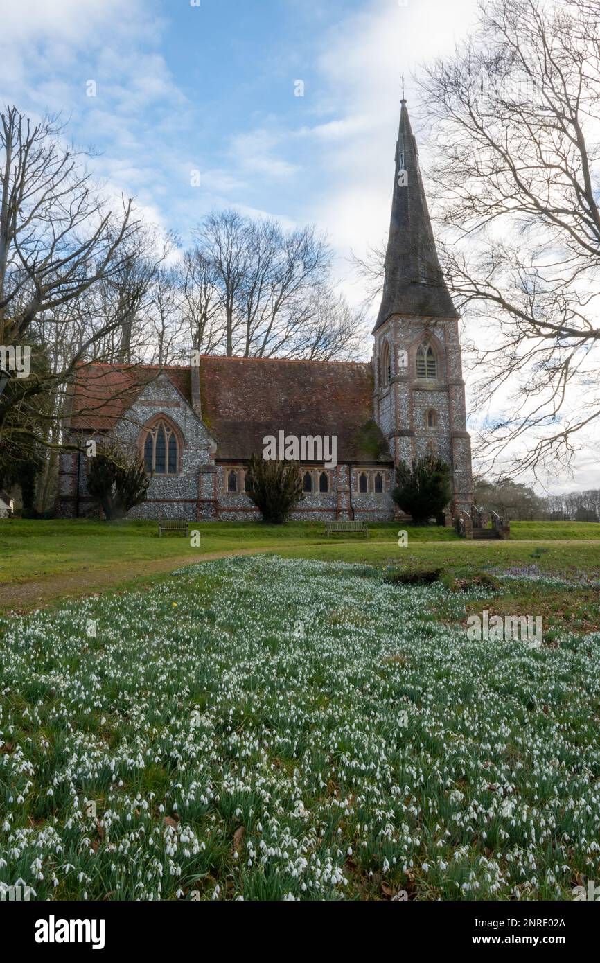 Snowdrops at St Mary's Church in Preston Candover, a Hampshire village, England, UK Stock Photo