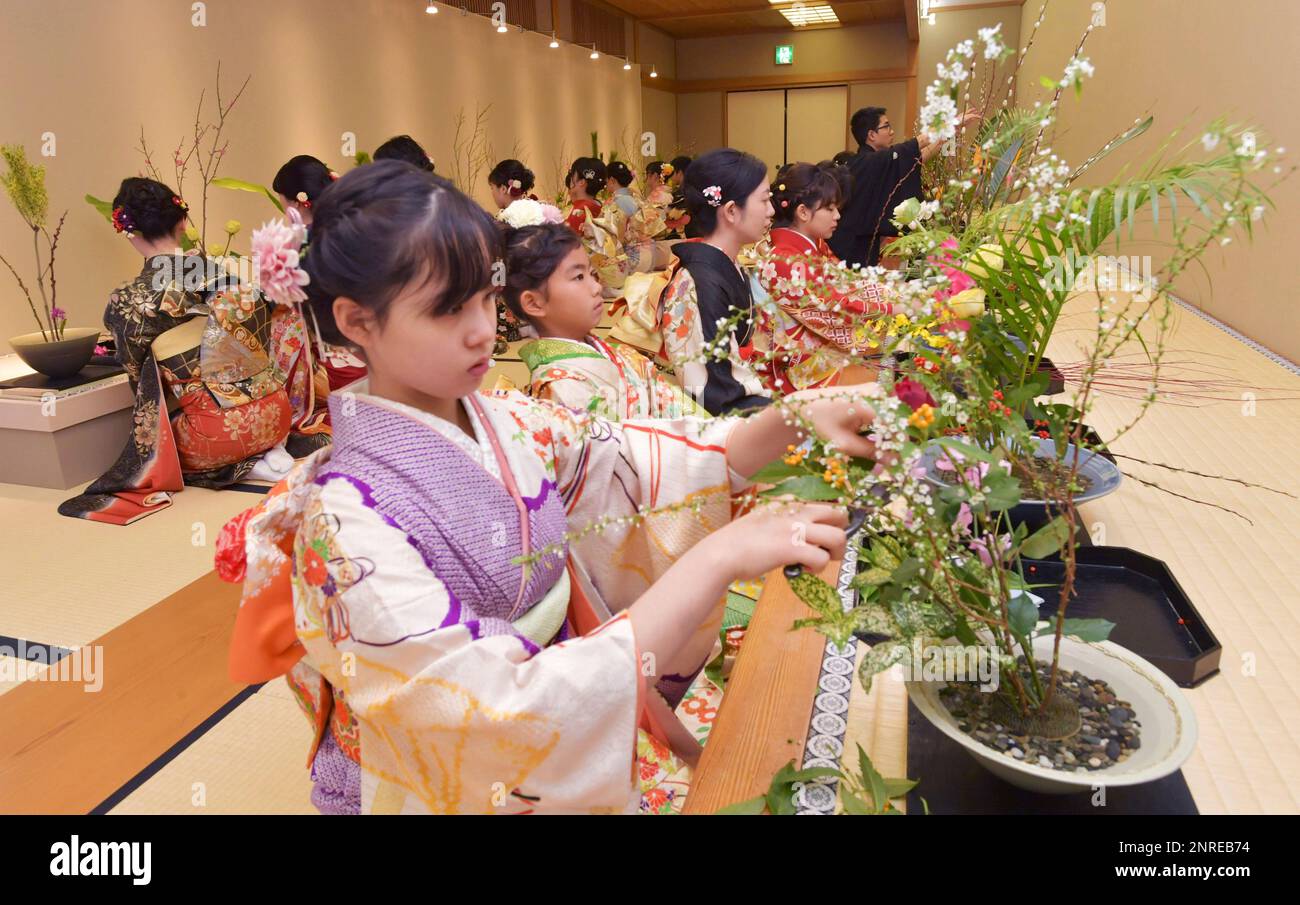 blande løfte tro på Students of the Ikenobo Japanese flower arrangement school clad in kimono  (Japanese traditional formal waer) attend a New Year's flower arranging  ceremony (Hatsu Ike Shiki) in Kyoto on January 5, 2020. Approximately