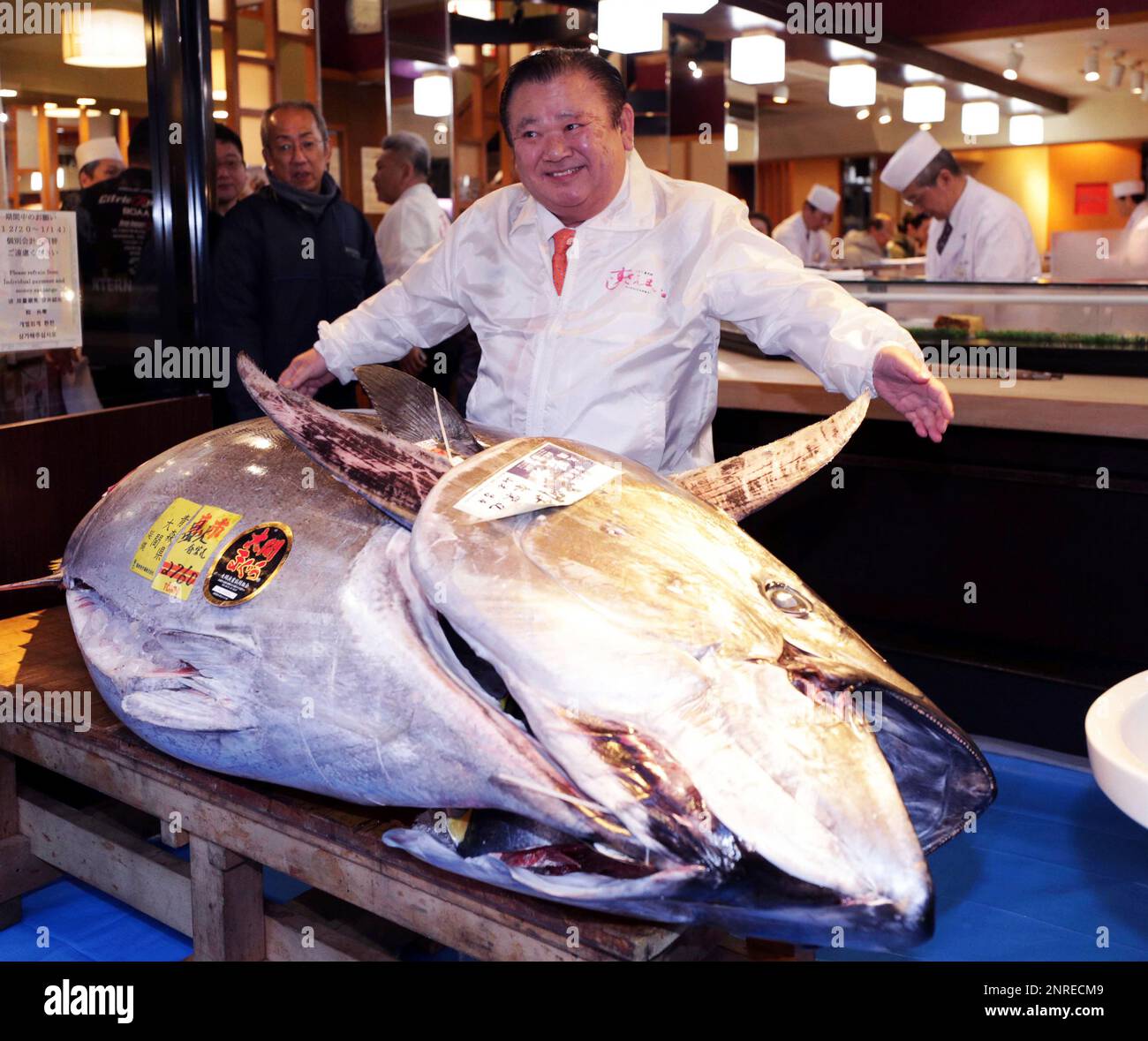 A photo shows 276kilogram bluefin tuna (Thunnus orientalis) caught off