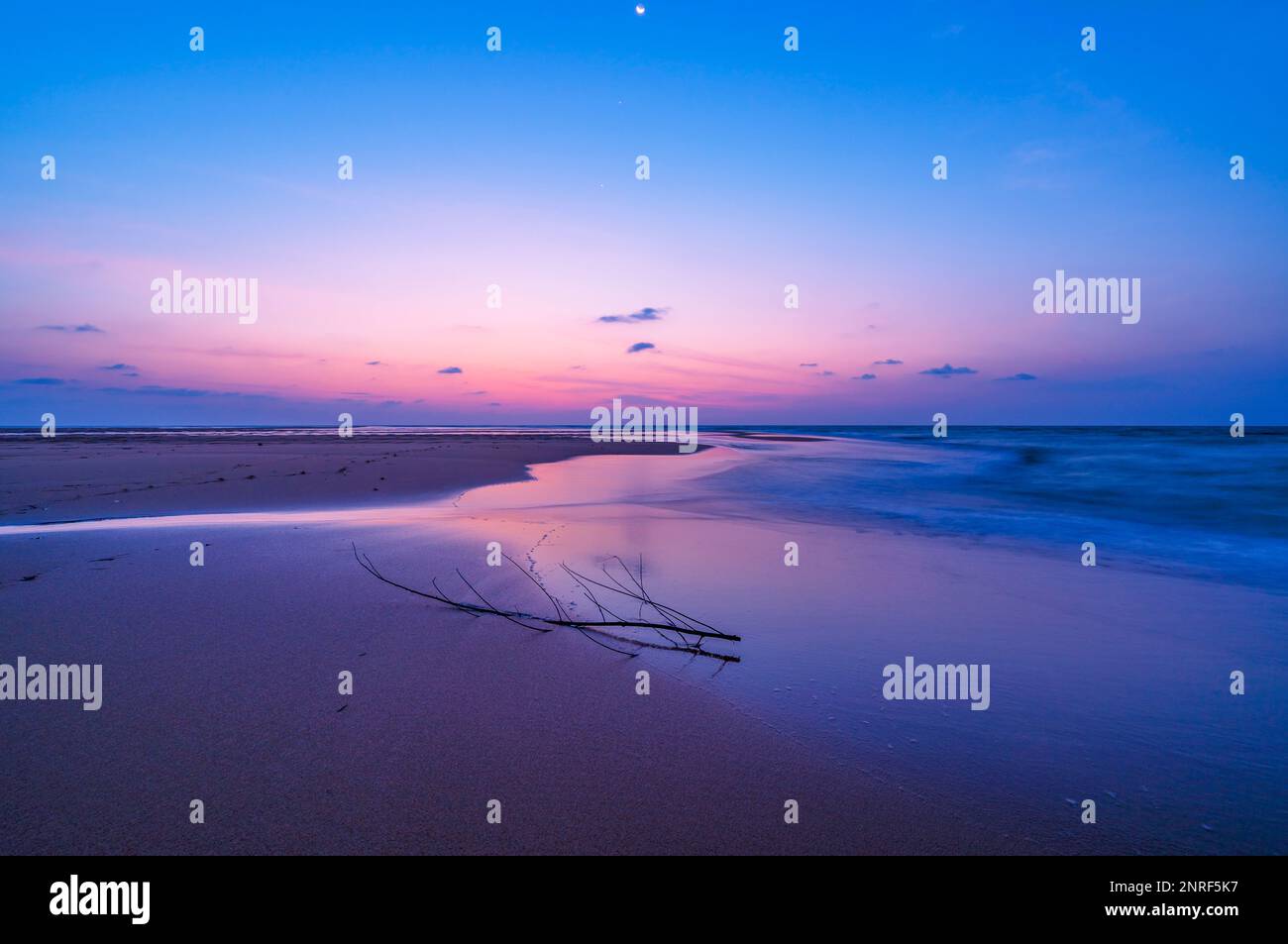 summer tropical beach background; glasses and palm tree reflex